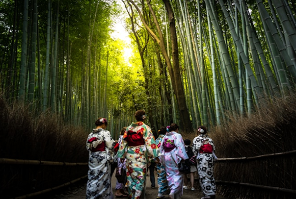 Arashiyama bamboo grove Kyoto photoshoot
